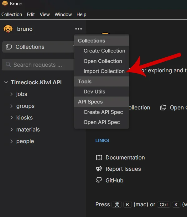 Import collection into Bruno