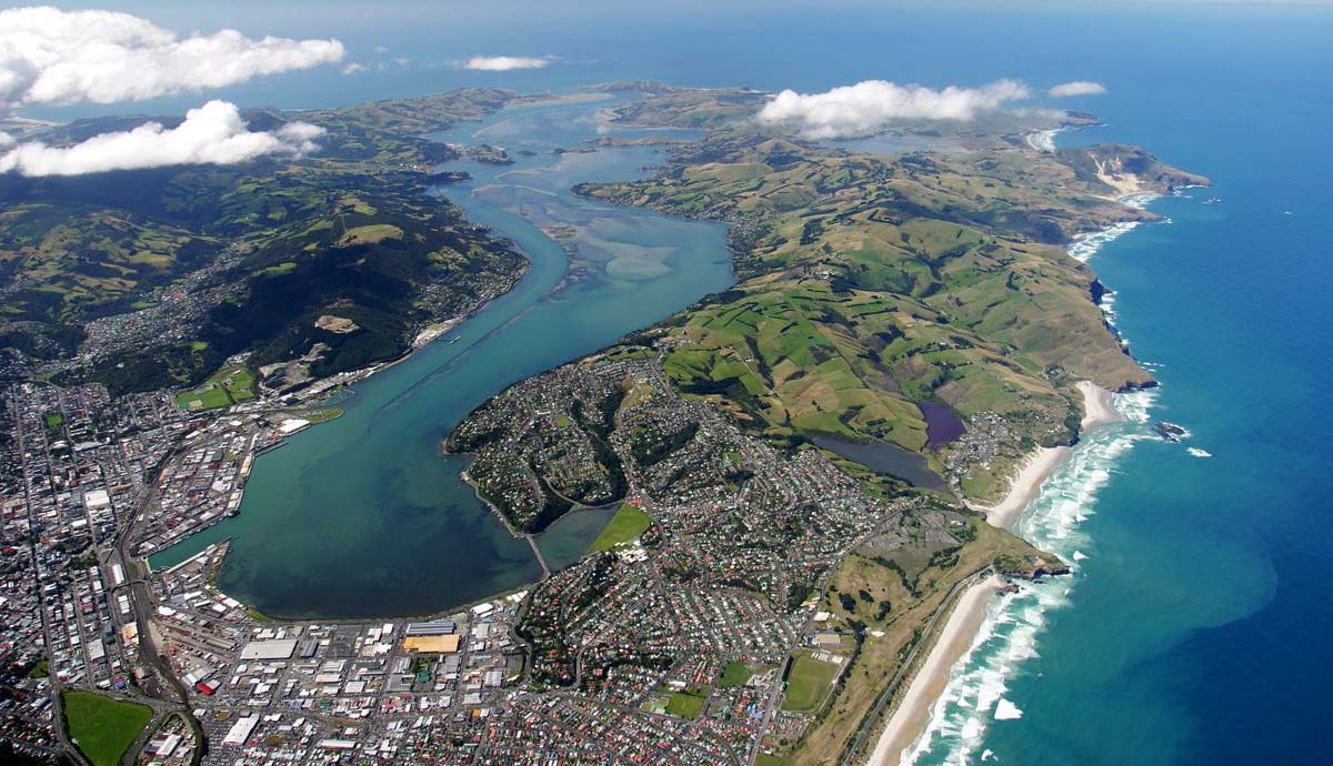 Dunedin Aerial view